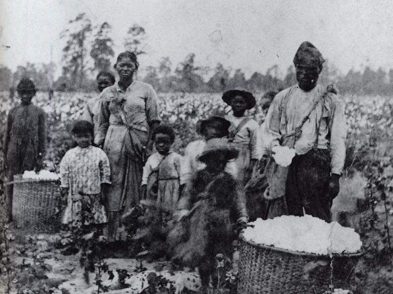 Eli Whitney and the Cotton Gin | Missed History